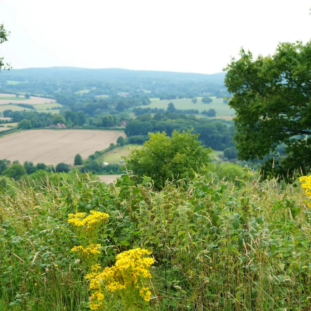 North Downs Way Big Trail Adventures