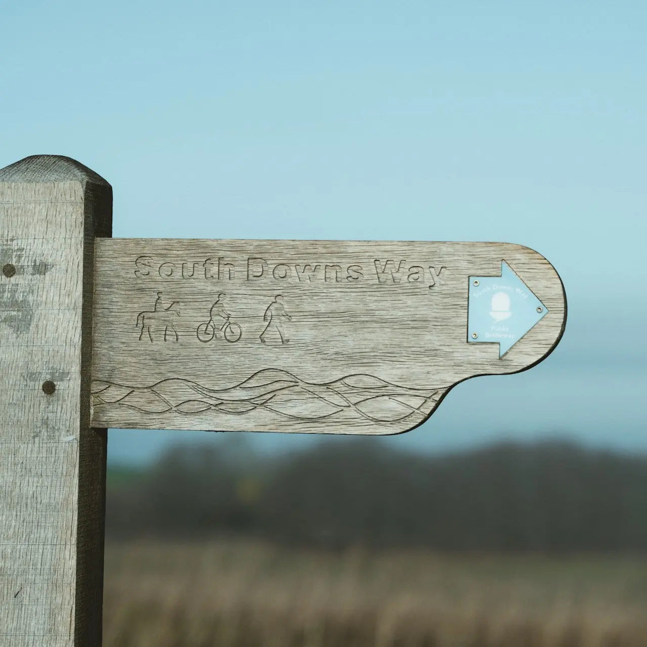 South Downs Way Big Trail Adventures