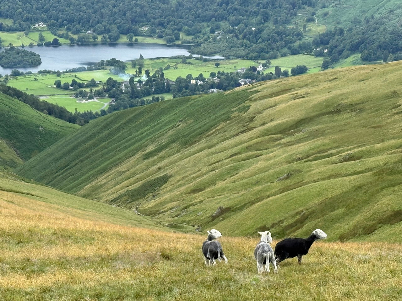 5 Days on Wainwright's Eastern Fells