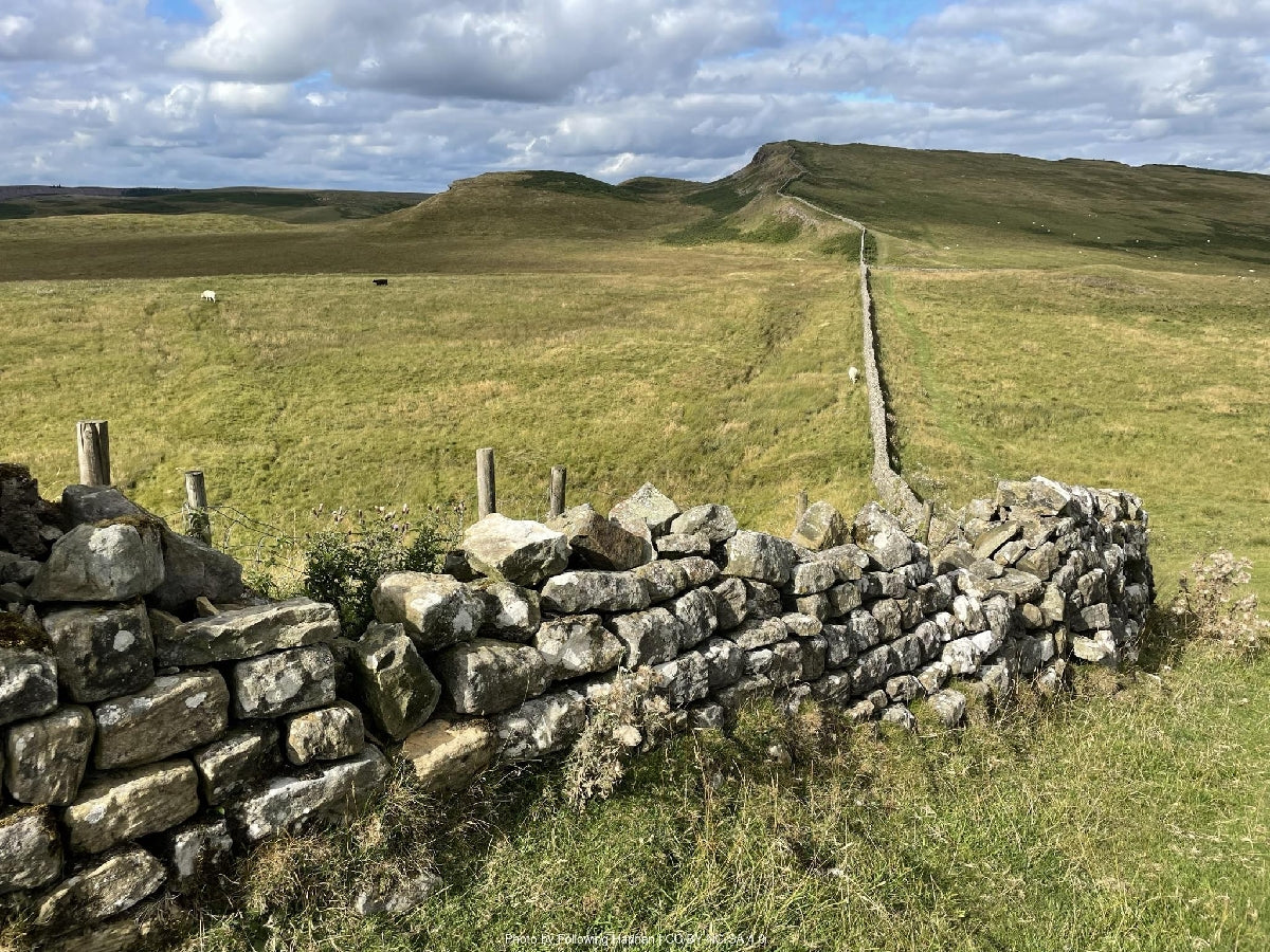The Tyne Country