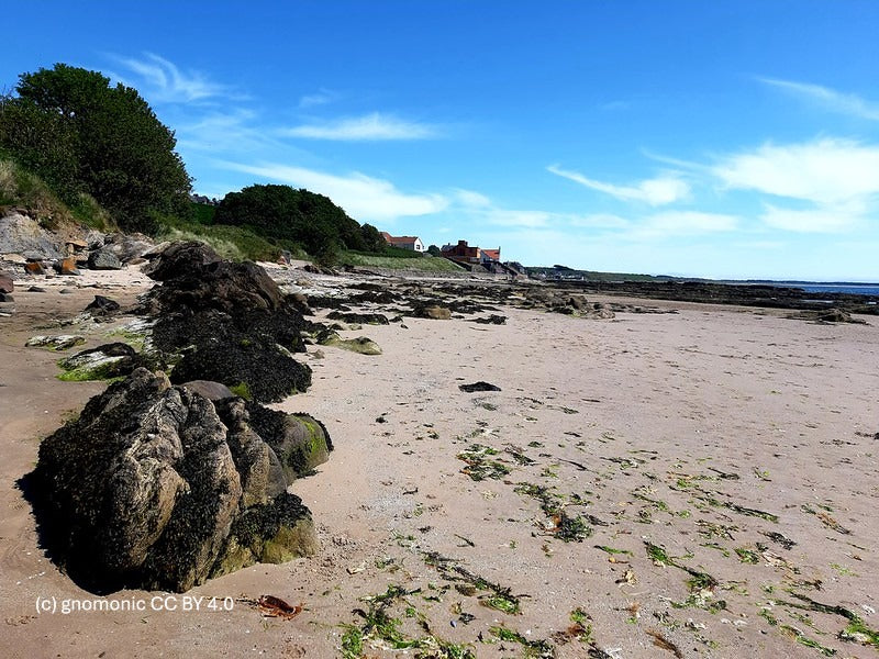 Pantiled fishermen's cottages around an East Neuk harbour