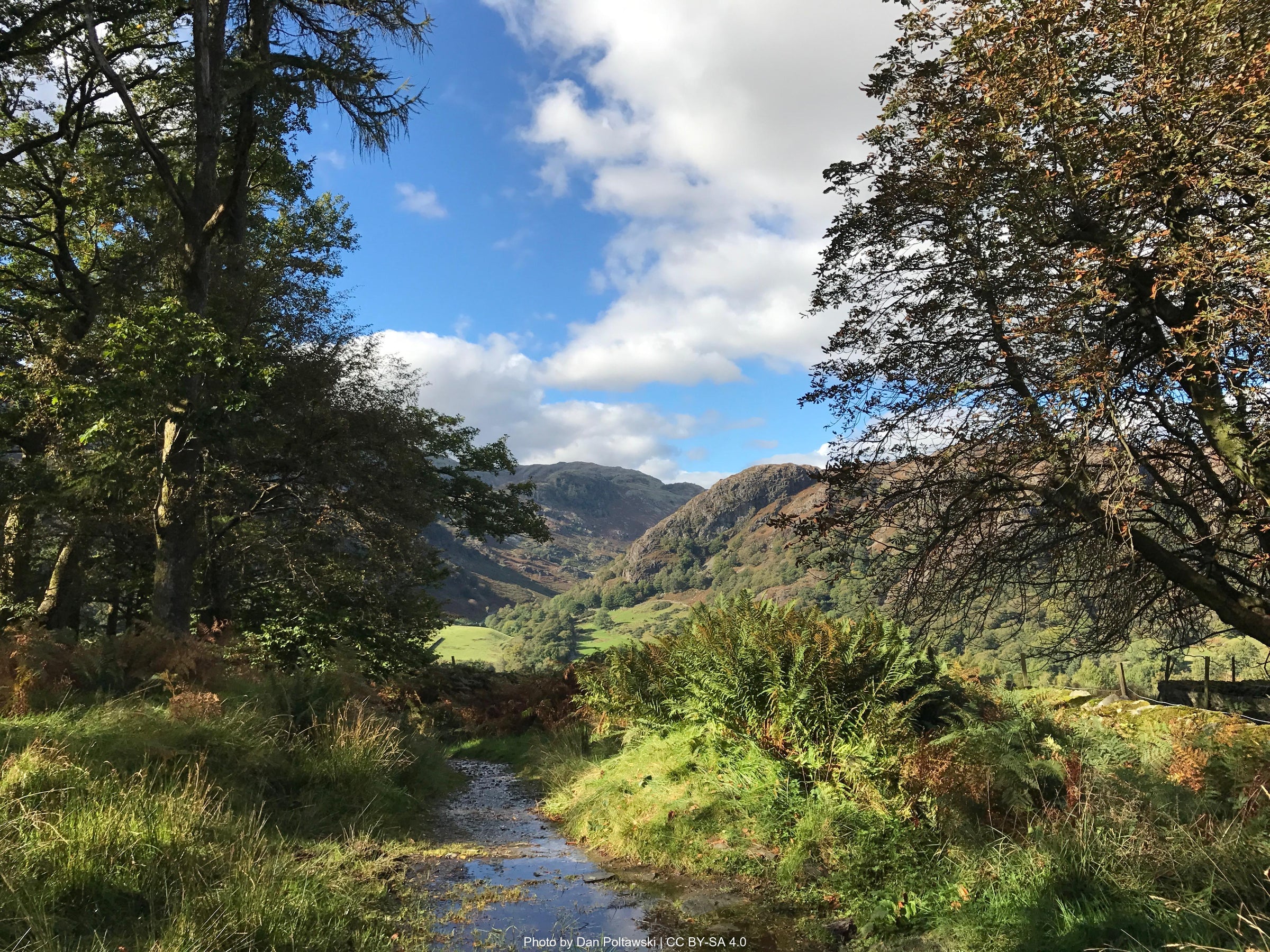Coniston Water and the Old Man