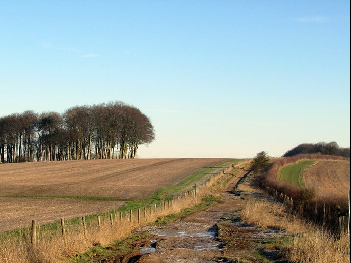 The Ridgeway