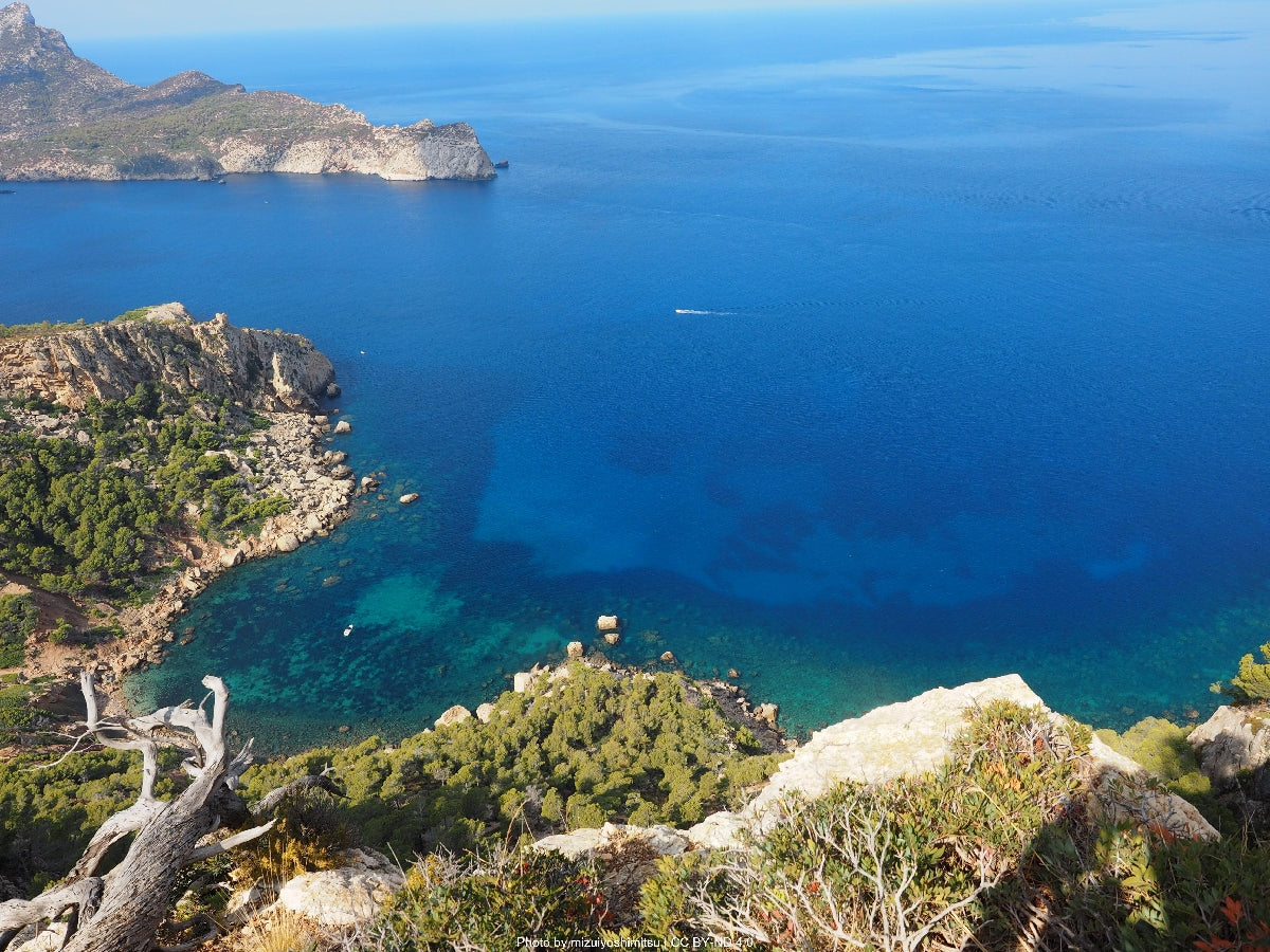 Valldemossa and the Charterhouse