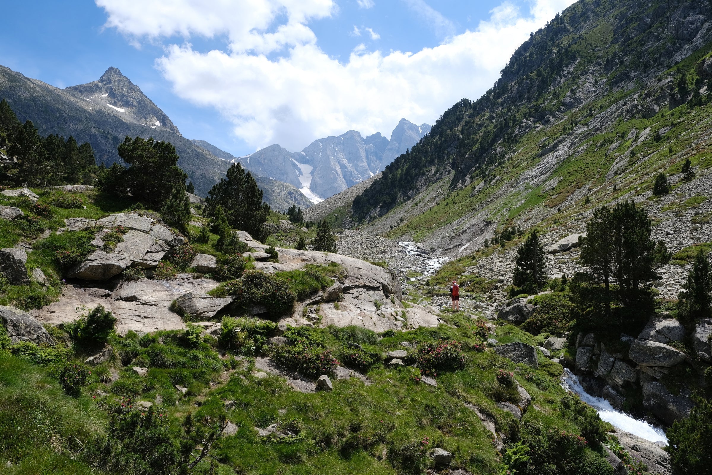 Into the Bastan