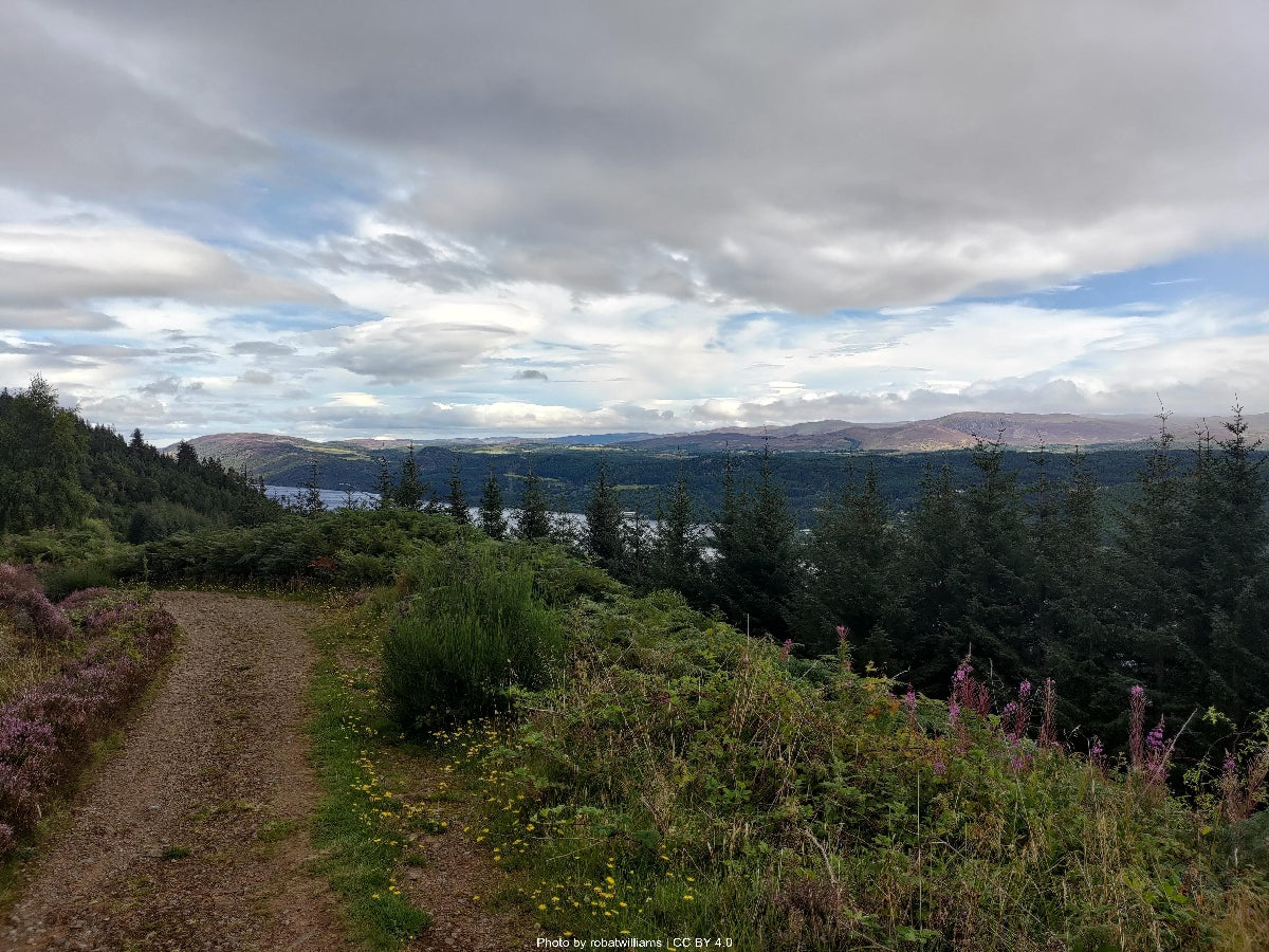 Above Loch Ness