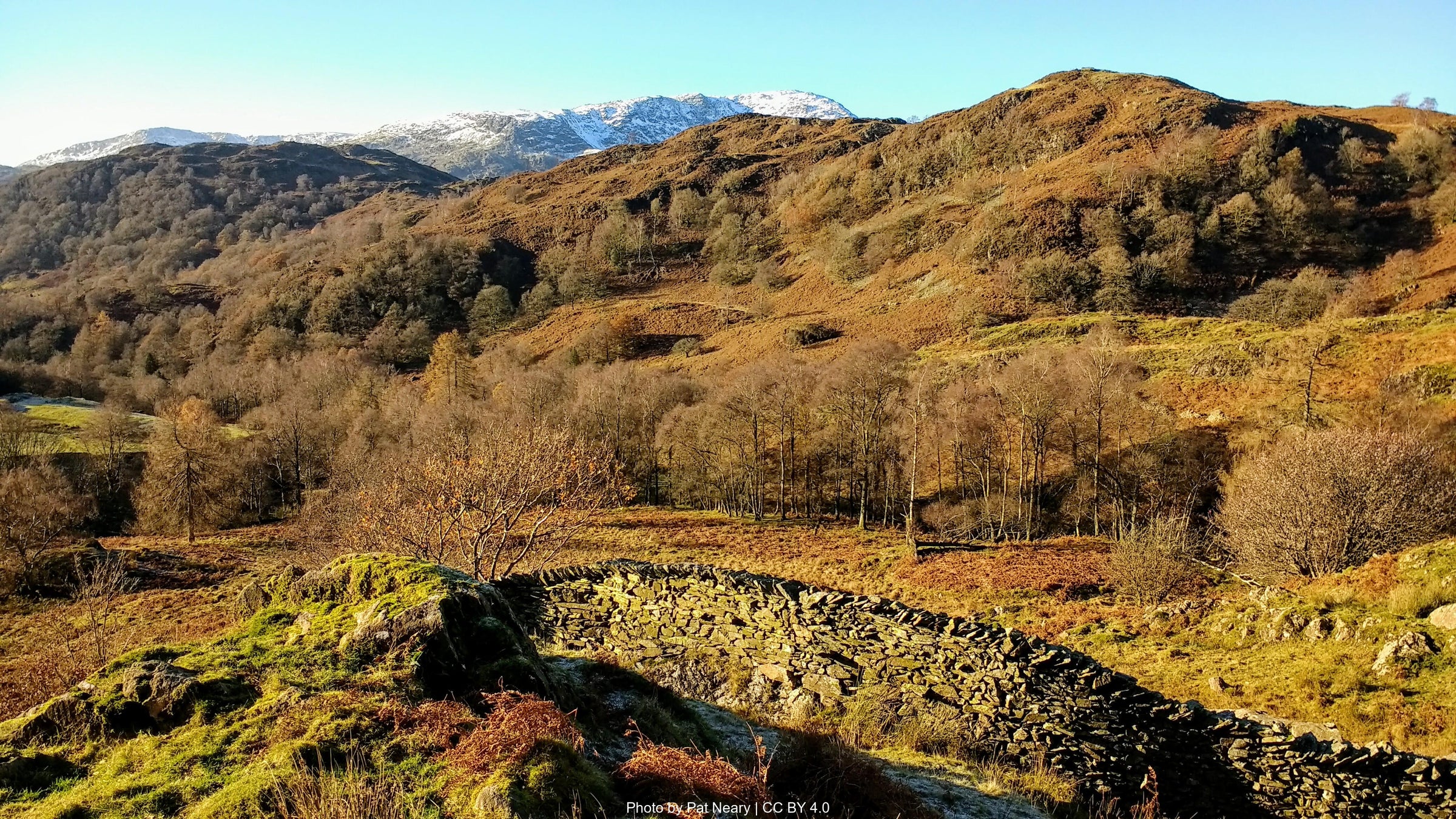 Great Langdale and the Pikes