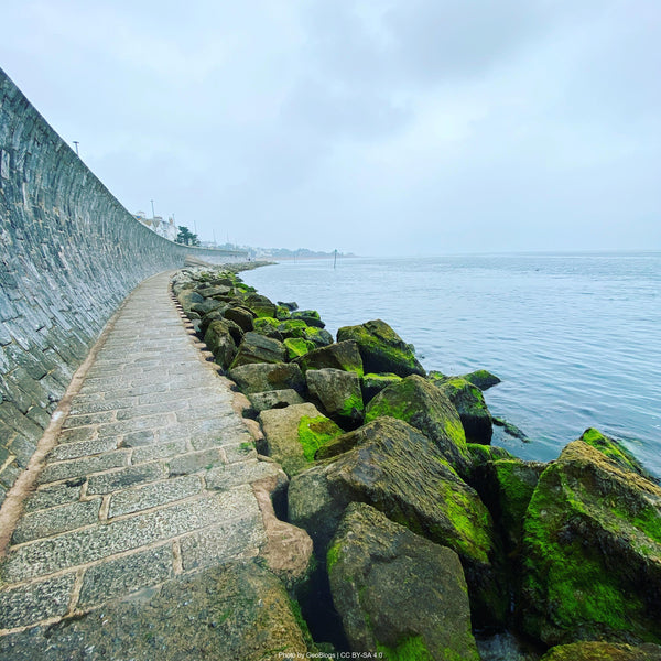 South West Coast Path Stage 5: Plymouth to Exmouth