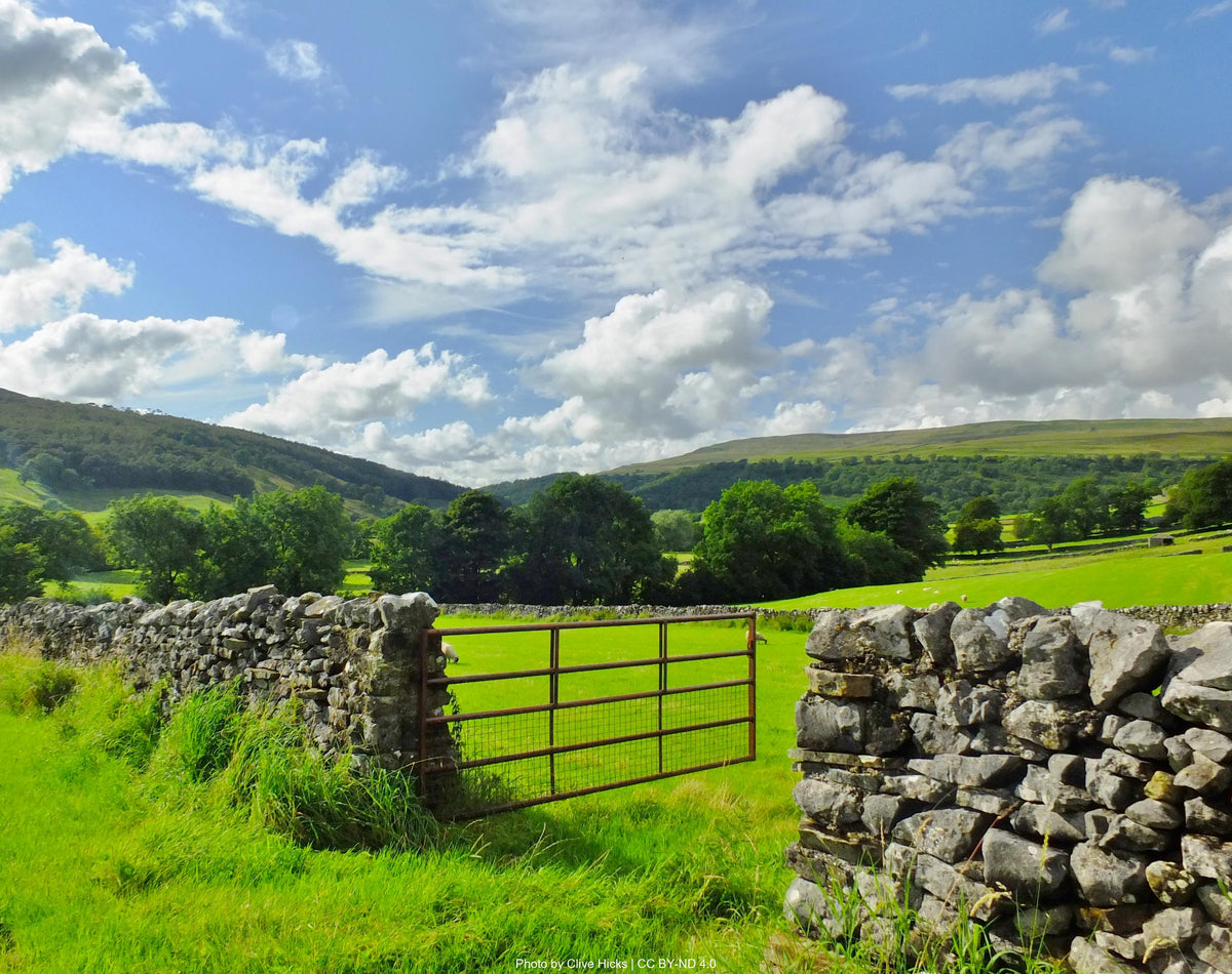 Up the Wharfe