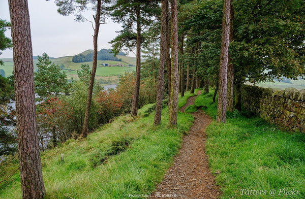 Hadrian's Wall Path