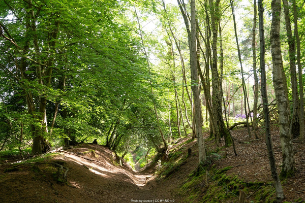 North Downs Way