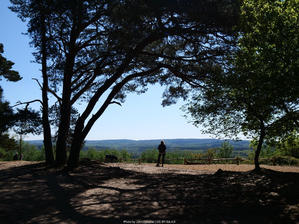 North Downs Way