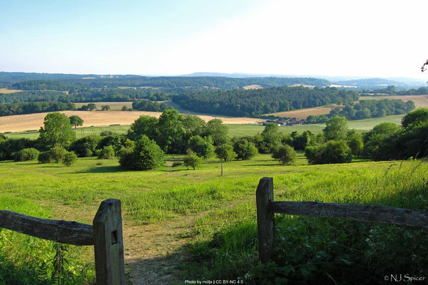 North Downs Way