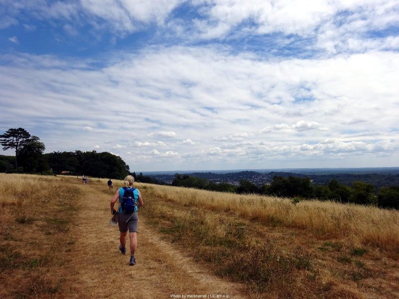 North Downs Way