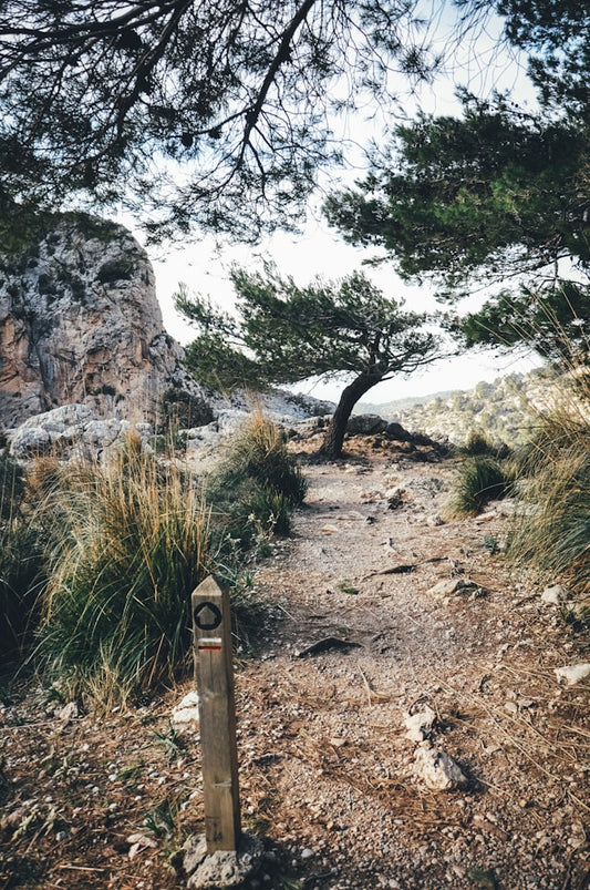 GR 221