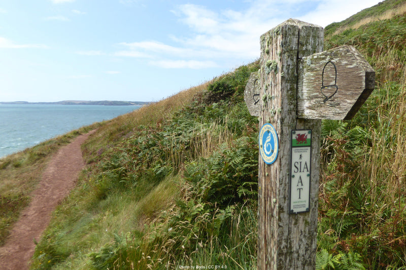 Pembrokeshire Coast Path Stage 1: Amroth to Pembroke