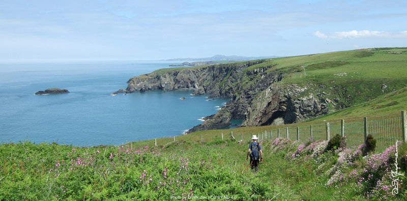 Pembrokeshire Coast Path Stage 3: St Davids to St Dogmaels