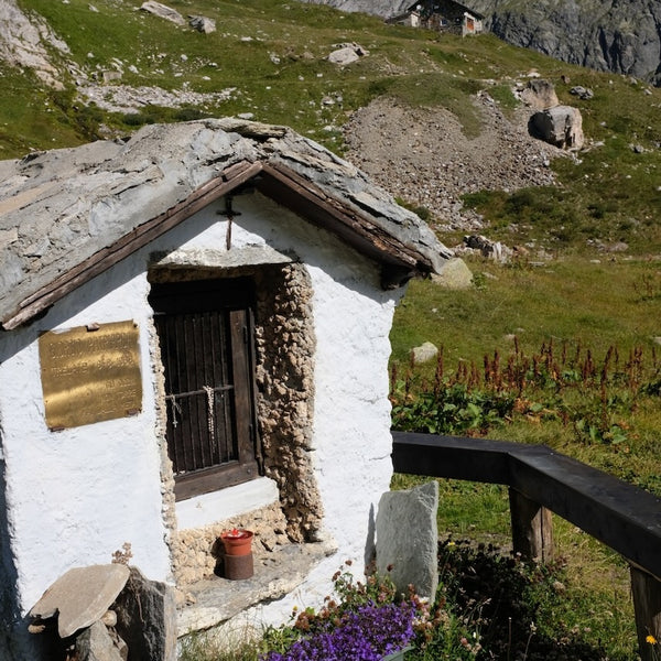 Tour Du Mont Blanc 2026